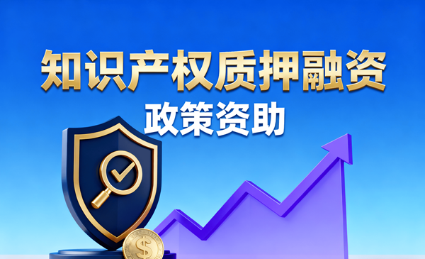 知识产权质押融资服务